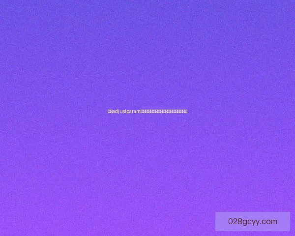 基于adjustparam的算法优化与参数调整策略研究与应用分析 基于adjustparam的算法优化与参数调整策略研究与应用分析